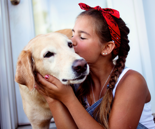 Young People and Canine Companions