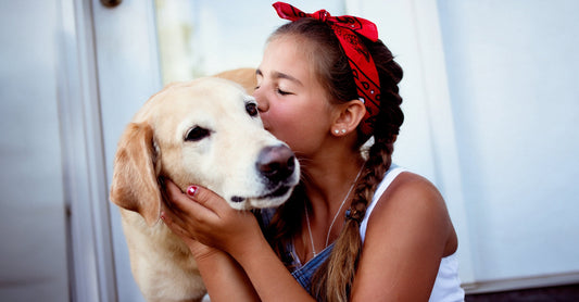Young People and Canine Companions