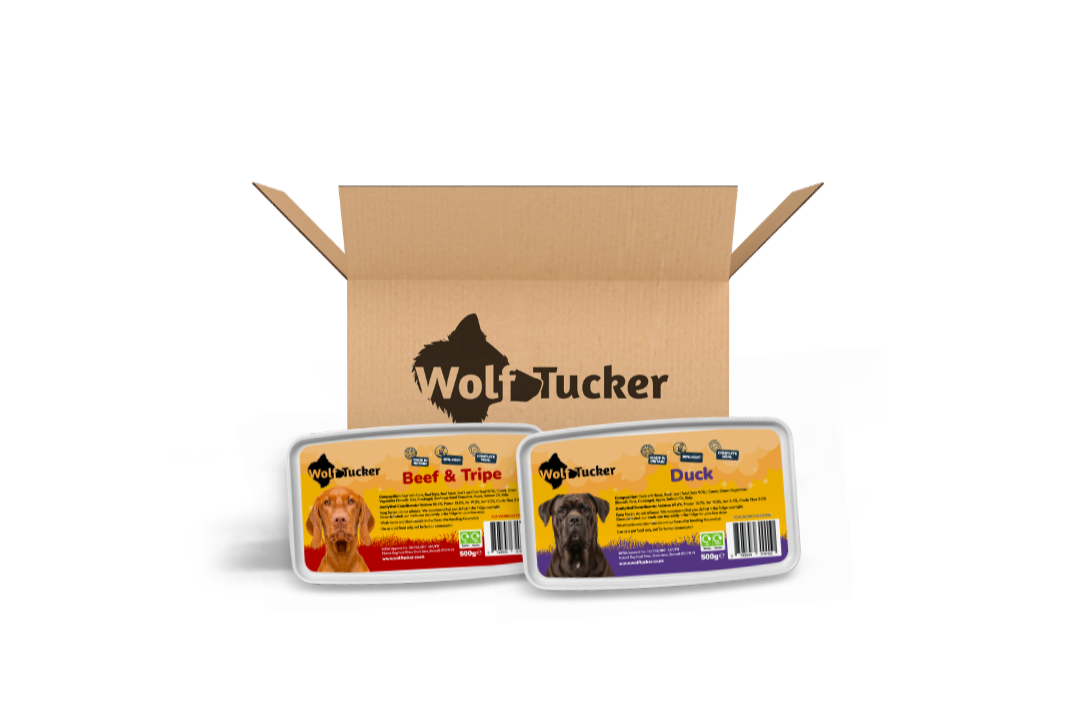 Raw Dog Food Bundles