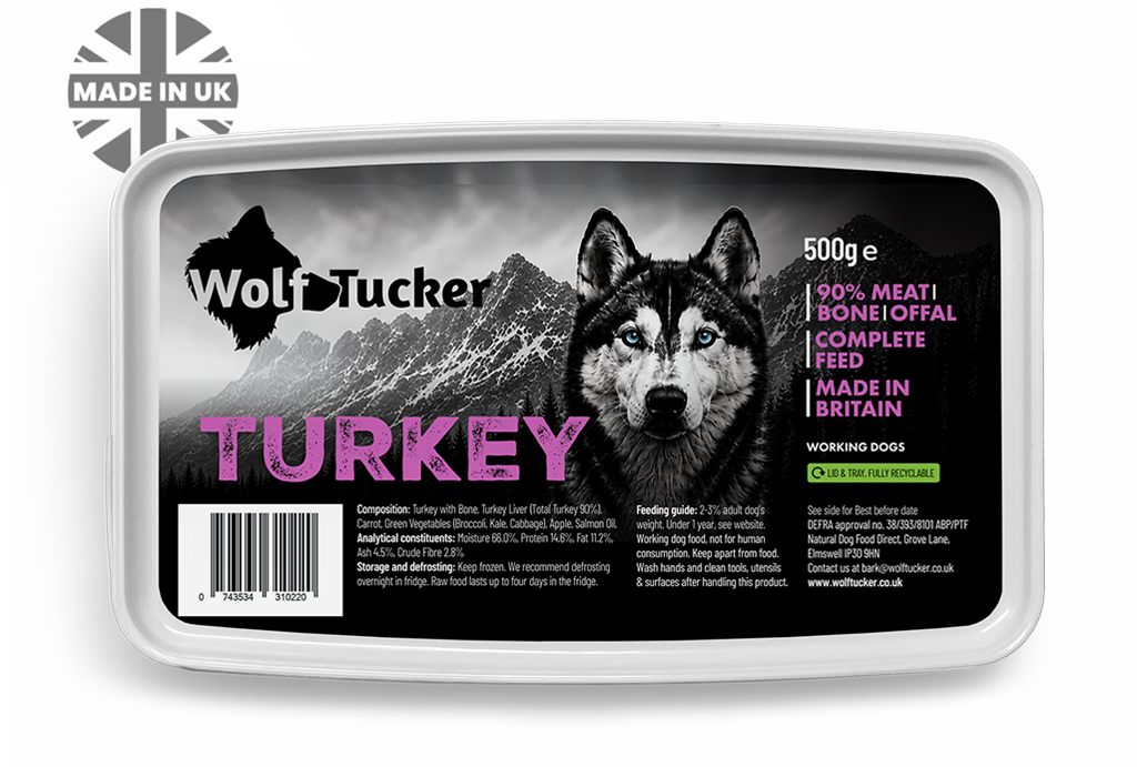 Wolf Tucker Working Dog Turkey