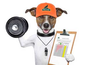 wolftucker-fitness-dog-diary.jpg